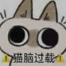 红云小猫 的头像