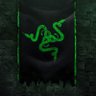 Фото профиля RaZeR|oNe 🗽