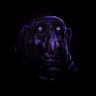 Yorp's profile picture