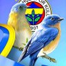 Onur Souza's profile picture