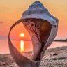 Фото профиля SWFLBlue 🌊🧢🇺🇸🌊