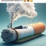 Фото профиля แฟรงค์