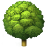 Profilbild von 0xWood