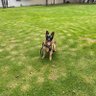 nuevo spike's profile picture