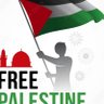 freePale 🇵🇸🇰🇷's profile picture