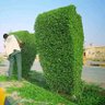 عميد الاحرار's profile picture
