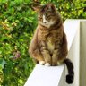 D ✍️🐨 profil fotoğrafı