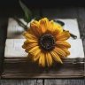 sunflower13🌻🐝🌷's profile picture