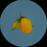 Maximiliano's profile picture