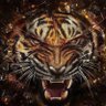 meng wang's profile picture