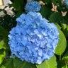 Фото профиля たかりん(TAKALIN)