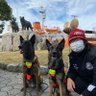 Profilbild von 新日ファン