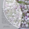 Фото профиля خدووووج