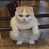 NON ._.'s profile picture