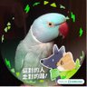 Profilbild von 大聖王✨膠shi桃on白🦜肉雞重生日記