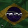 Felipe oshe 的头像