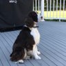 Фото профиля Frankie