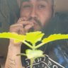 Profilbild von Chaddy Daddy