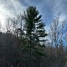 ncsmokymtns's profile picture