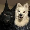 Silver White Wolf 的头像