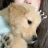 Profilbild von bairimengxiangjia