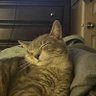 Jay Mm-hmm's profile picture