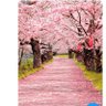 Maheen Khan's profile picture