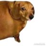 Domanator's profile picture