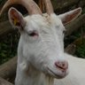 Profilbild von Paul Horn
