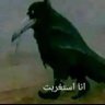 Profilbild von ابو غامد