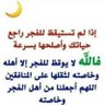 ابوكيان الزايدي's profile picture