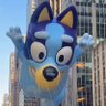 sgR's profile picture