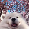 Mirna Nieto's profile picture