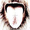 Profilbild von XThone_sub