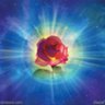 Profilbild von Rose of Light