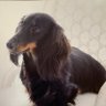 玉錦's profile picture