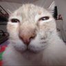 luiii's profile picture