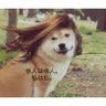 裏ノ嬢 profil fotoğrafı
