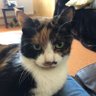 Kathryn Evans's profile picture