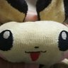 Profilbild von まぁくん
