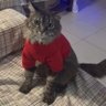 Juan Emilio profil fotoğrafı