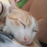 豆腐_k0 profil fotoğrafı