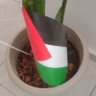 Profilbild von Azzouz Barhoumi