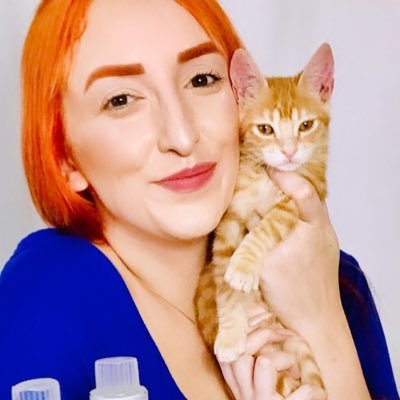 Projeto Mia Casa 🐱's profile picture