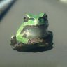 お父ちゃん profil fotoğrafı