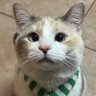 MrSpooder profil fotoğrafı
