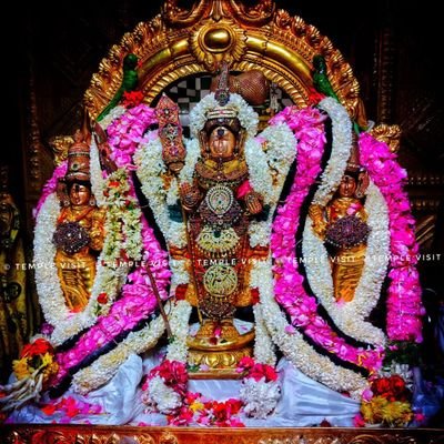 Saravanan Elumalai's profile picture