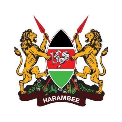 SpokespersonGoK's profile picture