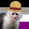 Фото профиля RubberMonkey 🖤🩶🤍💜