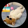 ASMR🏄BOUYAtrack【track🚛系仮想通貨man】's profile picture